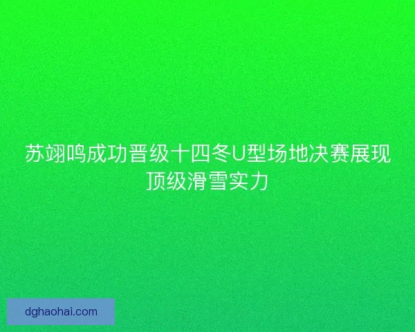 苏翊鸣成功晋级十四冬U型场地决赛展现顶级滑雪实力 苏翊鸣成功晋级十四冬U型场地决赛展现顶级滑雪实力