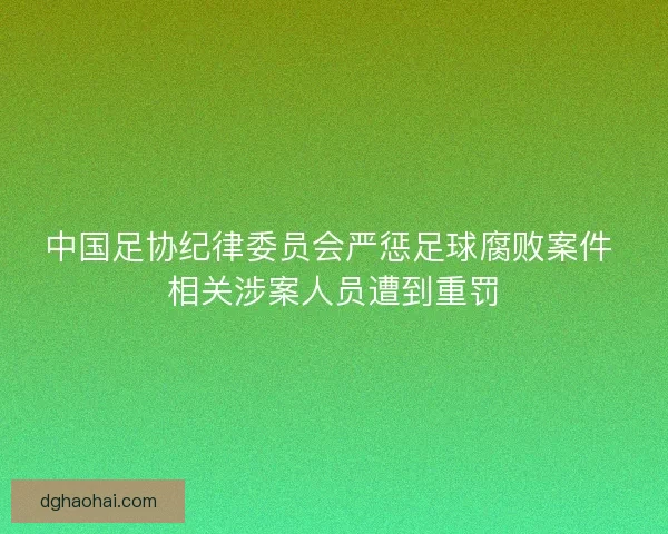 中国足协纪律委员会严惩足球腐败案件 相关涉案人员遭到重罚